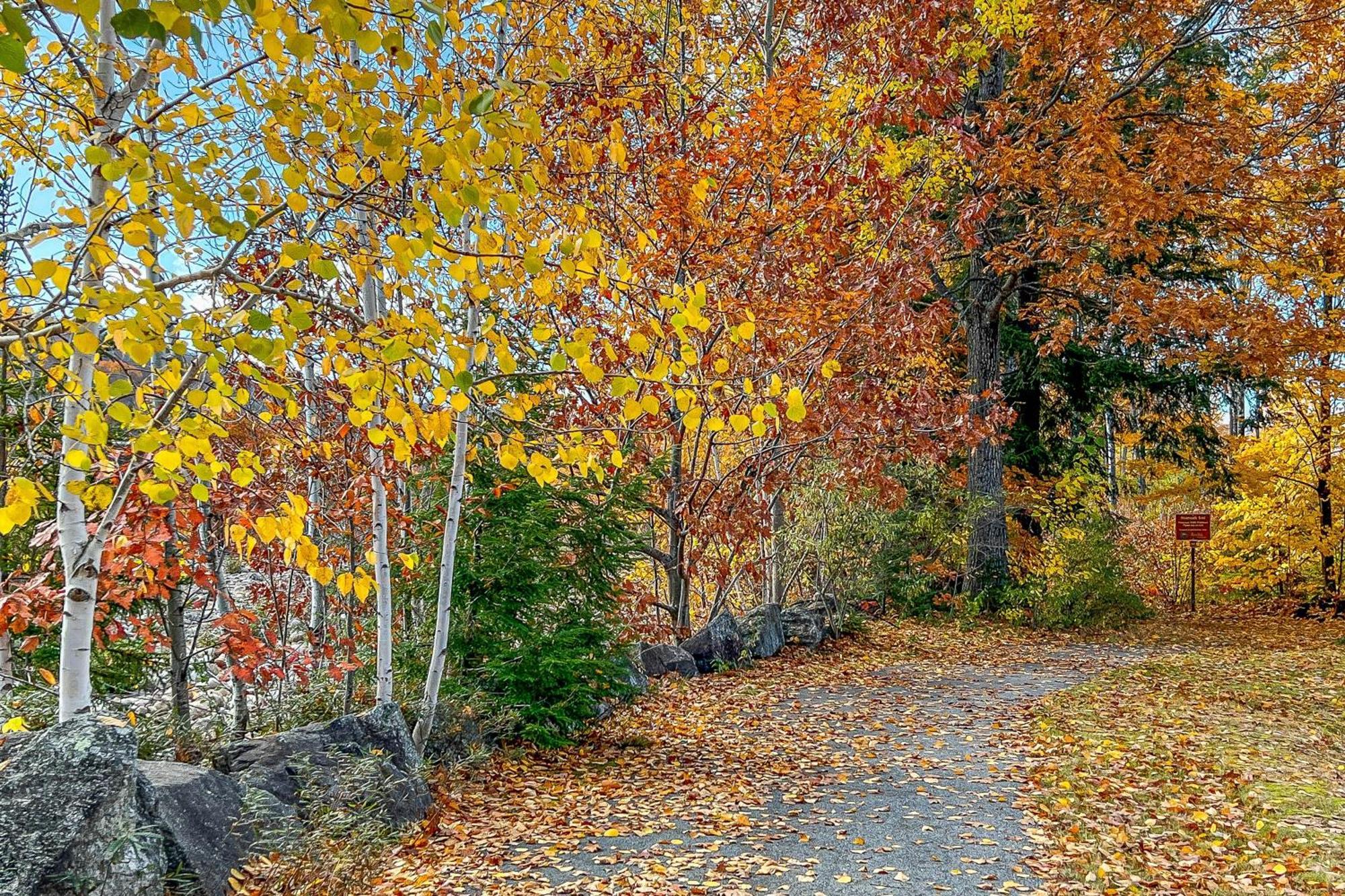Autumn Colors Condo At Rivergreen Lincoln Exterior foto